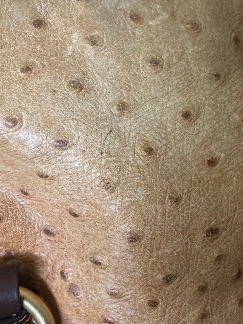 Dooney and Bourke Ostrich Embossed Leather Satchel